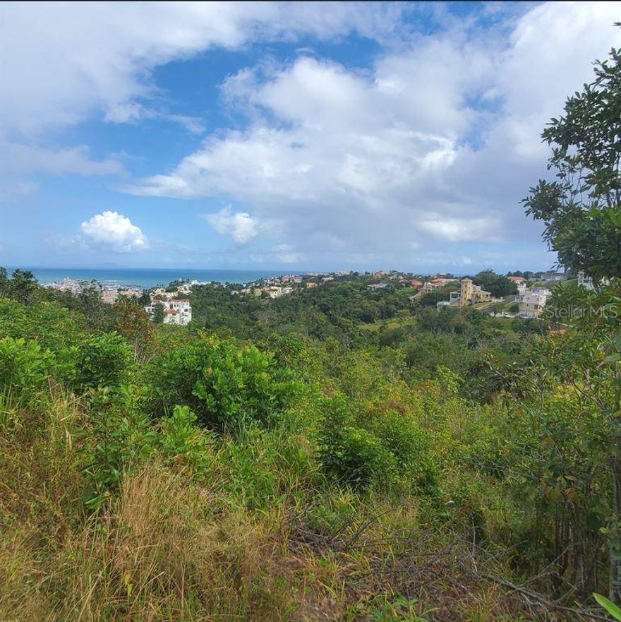 Harbour Lights Lot #36, a stunning half-acre gem, is located within the esteemed Harbour Lights Estates gated community in Palmas del Mar resort, Humacao, Puerto Rico. This parcel boasts sweeping vistas that encompass the Palmas del Mar resort, the Caribbean Sea, and the Island of Vieques.

Perfectly situated for convenience, Lot #36 offers seamless access to a myriad of activities and amenities, including golf, tennis, beach clubs, restaurants, and a casino. With electric, water and sewer available and adjacent to a well-maintained road this lot is prime for effortless future development.

Adjacent to Lots #37 and #38, also available for purchase, this lot presents a rare opportunity to acquire one or both of the neighboring properties, creating a sprawling estate of up to 1.5 acres.