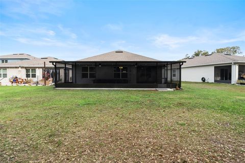 A home in MOUNT DORA