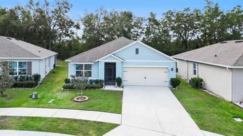 A home in MOUNT DORA