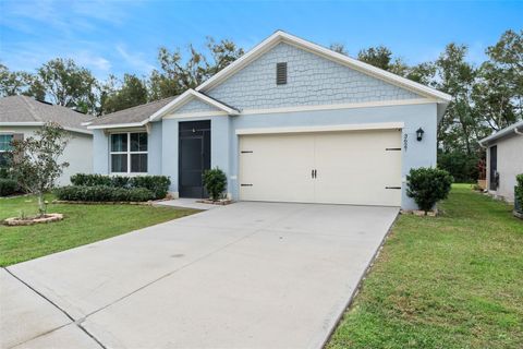 3627 CRIMSON CLOVER DRIVE MOUNT DORA FL 32757