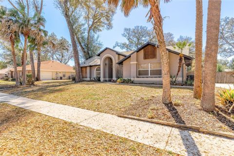 452 W HOLLY DRIVE ORANGE CITY FL 32763