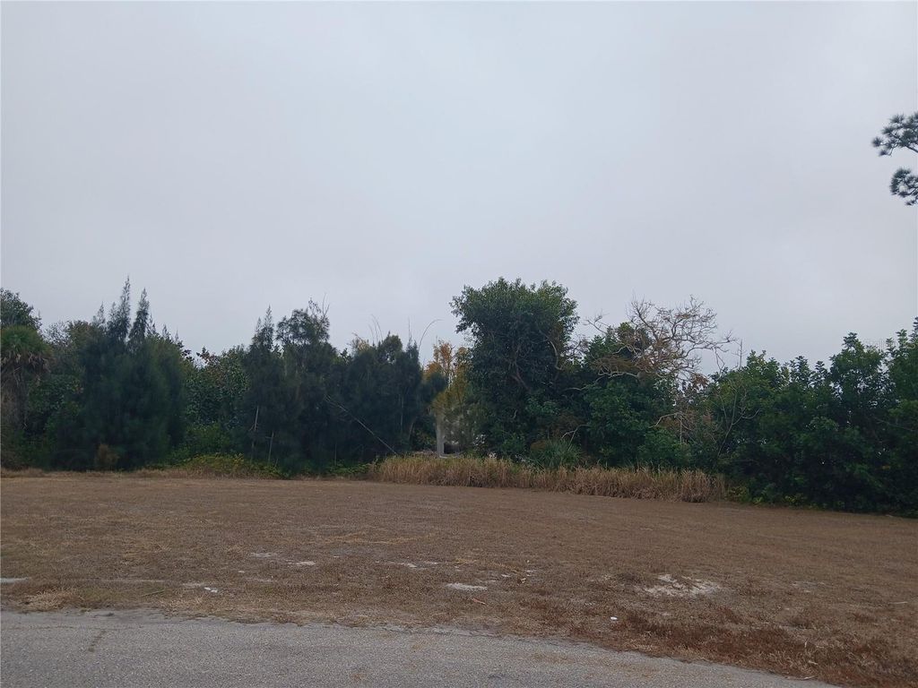 Photo of 1591 Rossanne Place, Englewood, FL 34223 (MLS # C7521978)