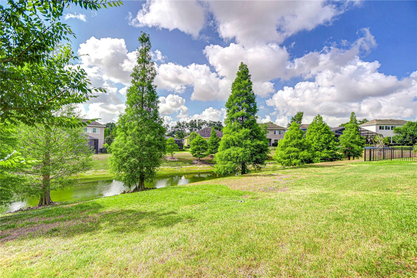 1134 TRACEY ANN LOOP