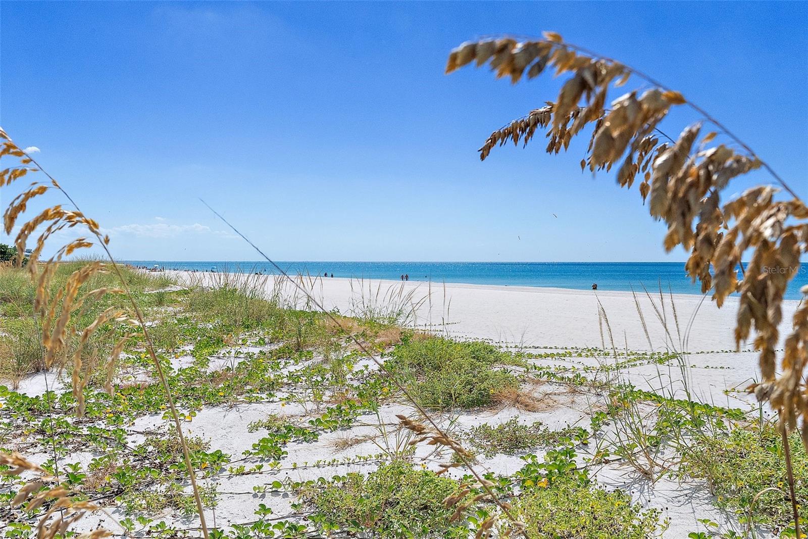 CAREFREE APTS CONDO - Residential