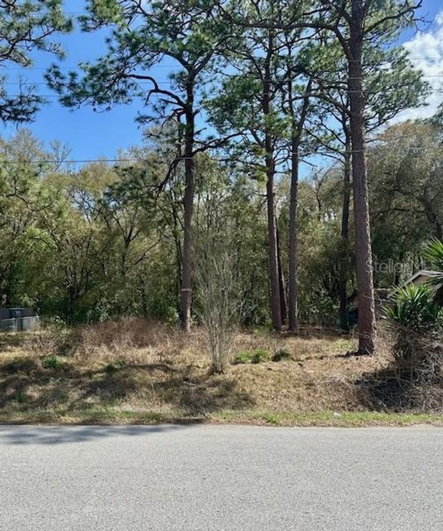 This residential lot offers an excellent opportunity to build your ideal home, whether modular, mobile, or site-built. The property is partially cleared and already equipped with a well and septic, providing a great head start for future development. Located in a quiet neighborhood, walking distance to Smith Lake and convenient access to shopping, schools, outdoor recreation, and more. Enjoy the freedom of NO HOA FEES and the added peace of mind of being located in a NO-FLOOD ZONE. All information is deemed reliable but should be independently verified. The House next door at 11885 SE 99th Terrace is also FOR SALE- The Perfect Opportunity to Own Both!