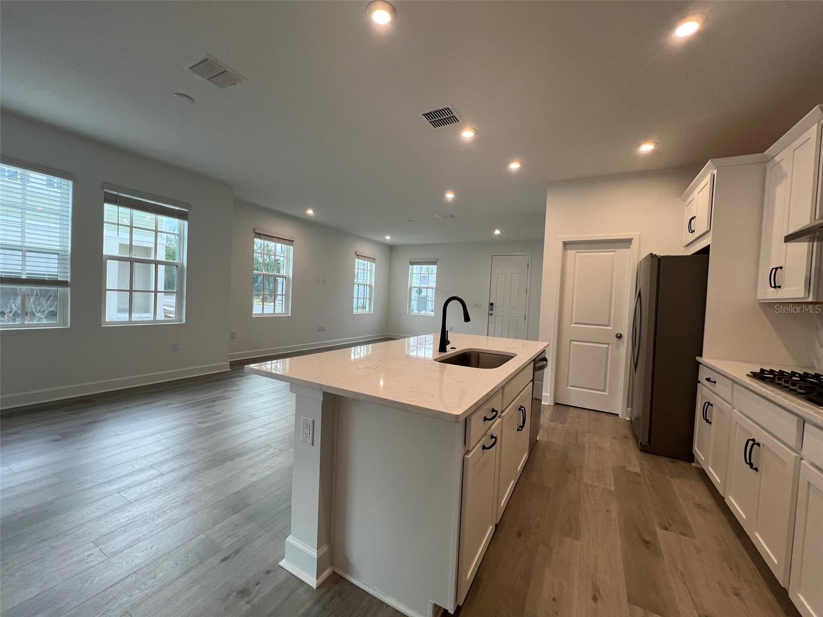 CELEBRATION ISLAND VILLAGE - Residential