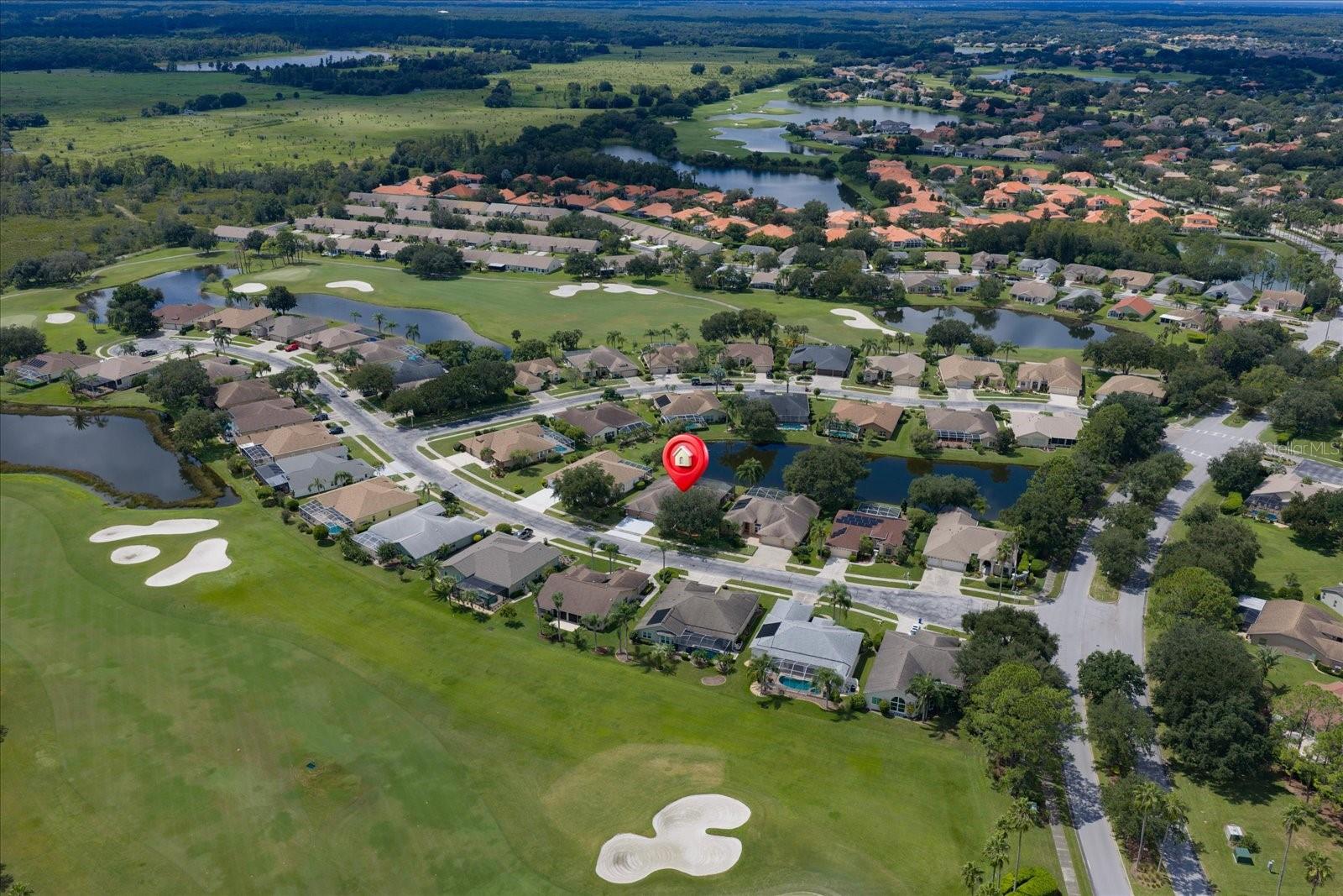 1237 RAMBLING VINE COURT