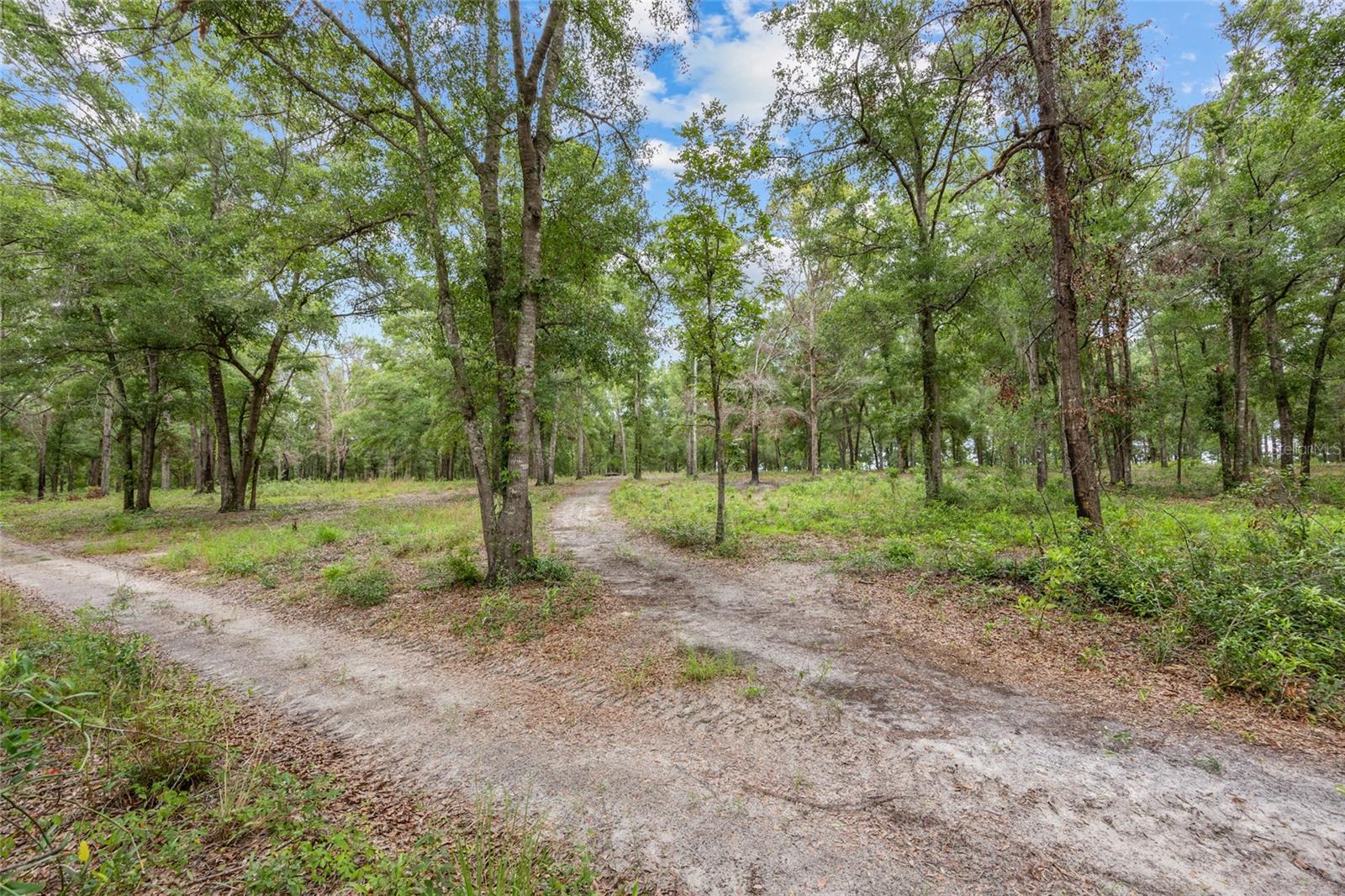 NOT IN SUBDIVISION - Residential