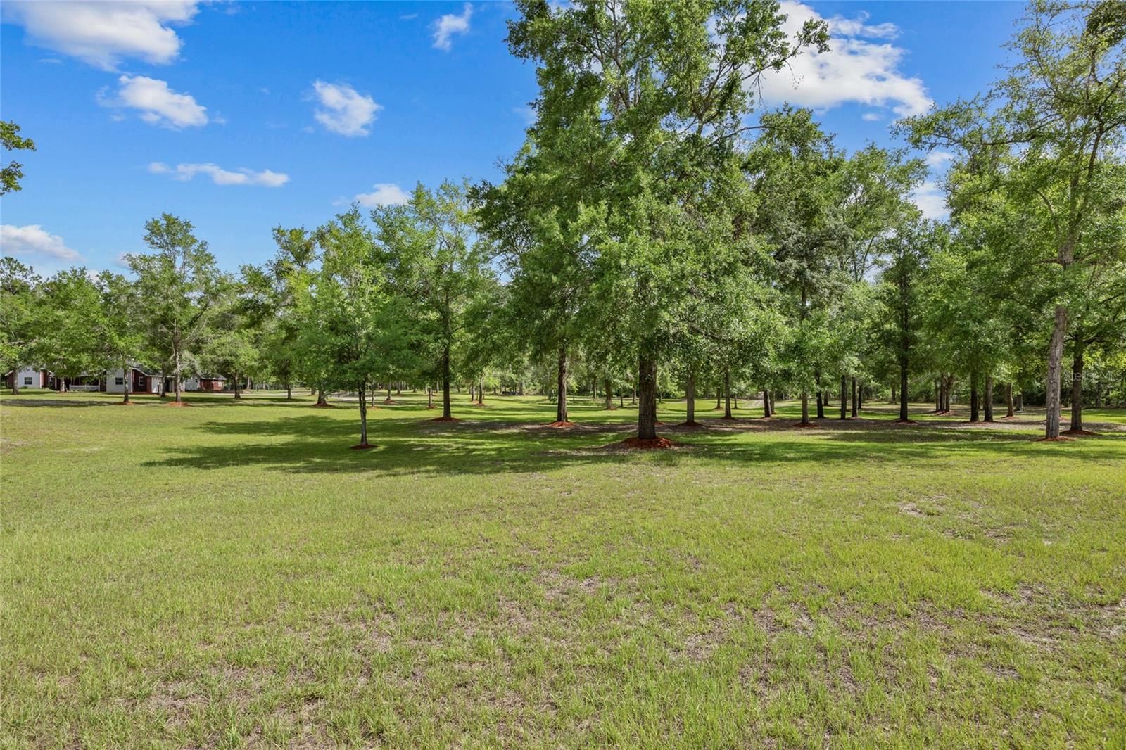 NOT IN SUBDIVISION - Residential