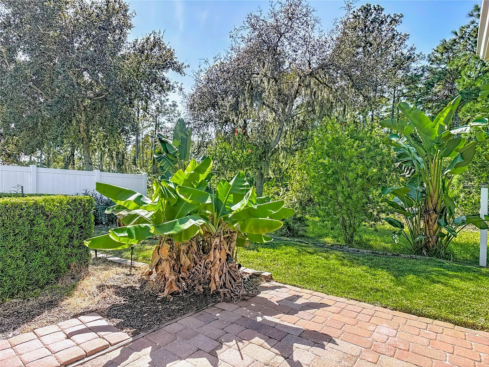 HIDDEN LAKES PH I - Residential