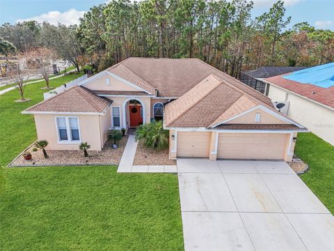 A home in SPRING HILL