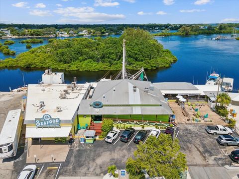 A home in TARPON SPRINGS