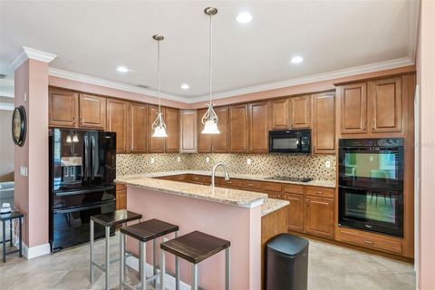 Tiny photo for 16205 Mead Street, Clermont, FL 34714 (MLS # G5105772)