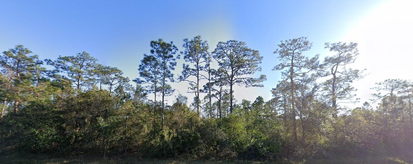1.71 Acre Lot ~ Zoned A-2! Discover the Perfect Canvas for Your Dream Home or Vacation Retreat!! Scerne Pond Views!! No HOA means Complete Freedom! Room for a Pool, RV, Detached Garage and Boat, Bring All the Toys!! Imagine the Possibilities for This Parcel with an Incredible Location!! Looking for an Investment Property or To Become Part of the Booming Florida Land Market? Here is Your Chance!! With the Right Vision and Development This Property Can Become a Very Valuable Asset! Enjoy Florida Wildlife and Tranquility Along with the Convenience of a Short Drive to Florida’s Gorgeous Beaches, Orlando Airport, Downtown Orlando, Schools, Shopping and So Much More! Make an Offer Today to Secure This Land as Your Own!! Clear Title Ready to Convey.