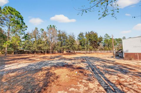 Tiny photo for 1250 NE 123rd Avenue, Williston, FL 32696 (MLS # O6387489)
