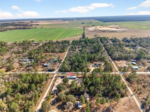 Tiny photo for 1250 NE 123rd Avenue, Williston, FL 32696 (MLS # O6387489)
