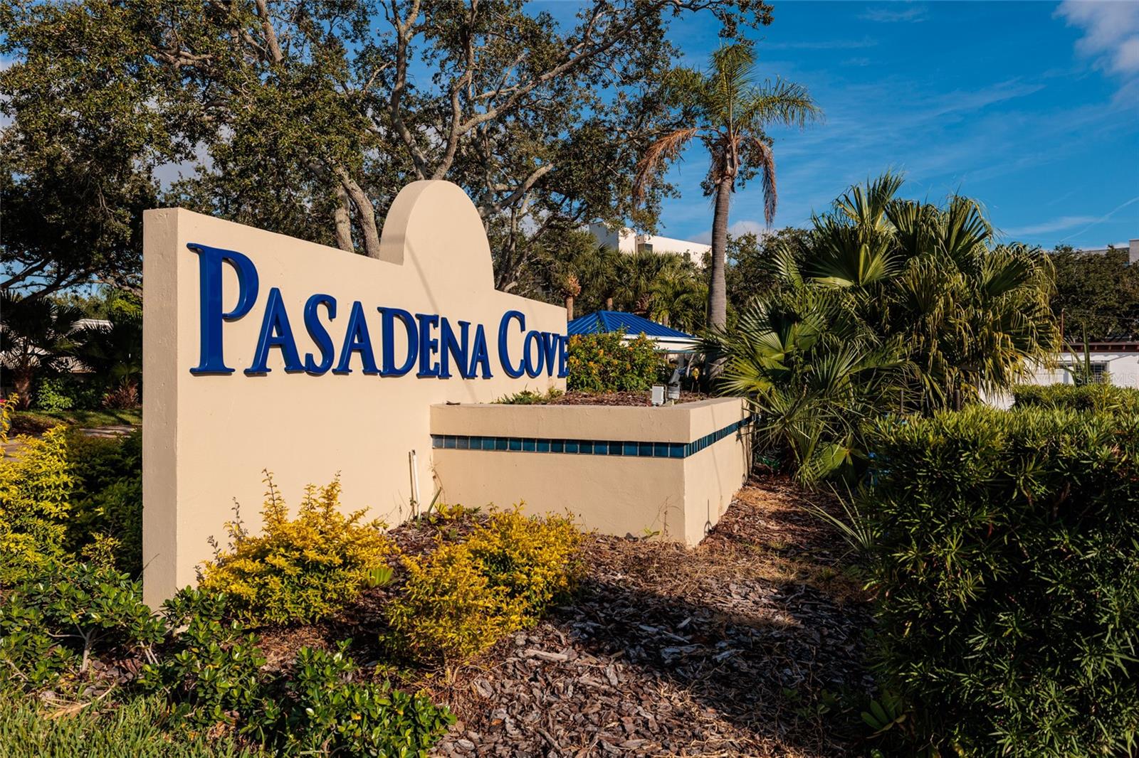 PASADENA COVE CONDO - Residential
