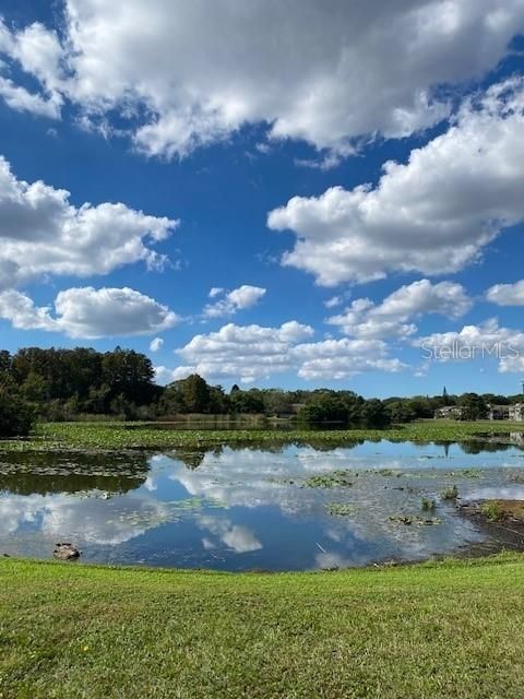 A home in TAMPA