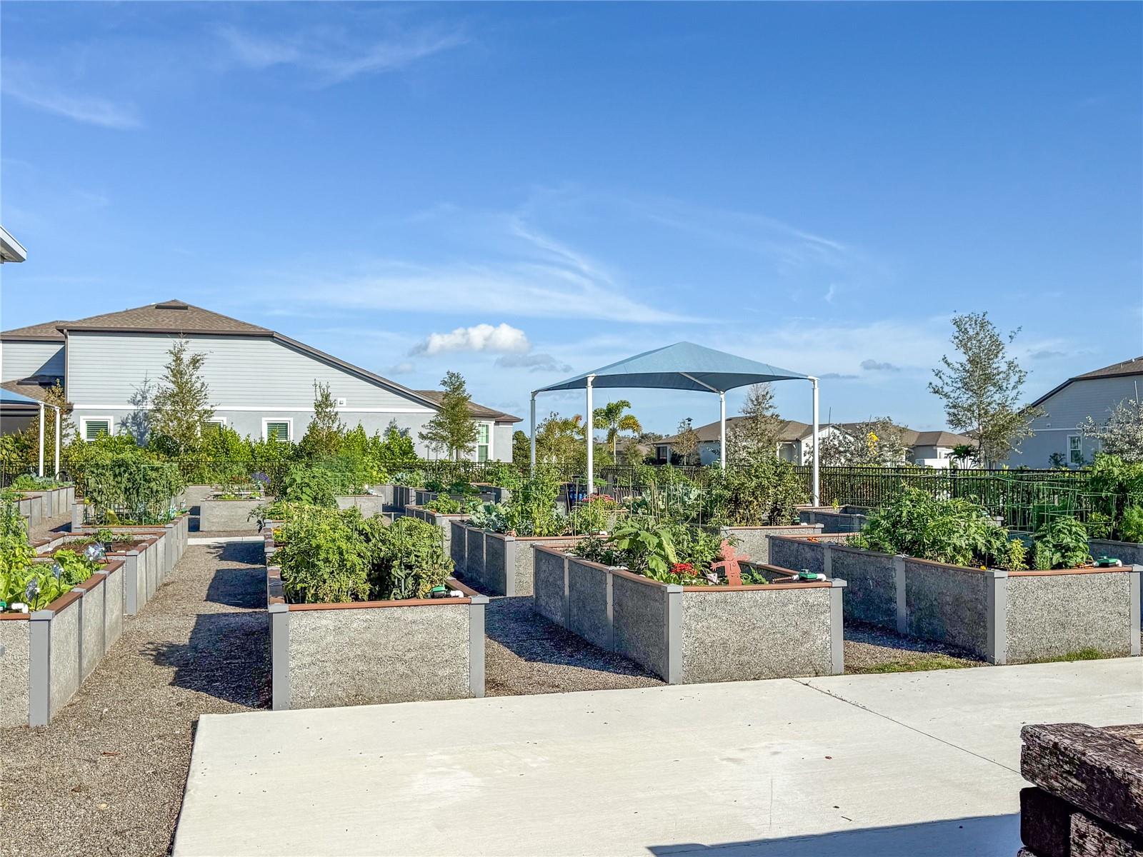 DEL WEBB AT BAYVIEW PH I SUBPH A B - Residential