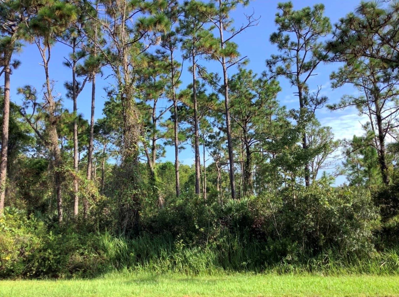 Build your dream home on this exceptional vacant lot in Wedgefield Cape Orlando Estates, one of East Orlando’s most sought-after communities! This expansive lot offers the perfect blend of privacy and natural beauty, nestled among custom-built homes and surrounded by serene Florida landscape. Enjoy the peace and space of country living with convenient access to major highways, the Orlando International Airport, Lake Nona Medical City, UCF, and the Space Coast beaches. Whether you’re looking to build now or invest for the future; this is an outstanding opportunity in a rapidly growing area. Don’t miss your chance to own a piece of paradise in Wedgefield!