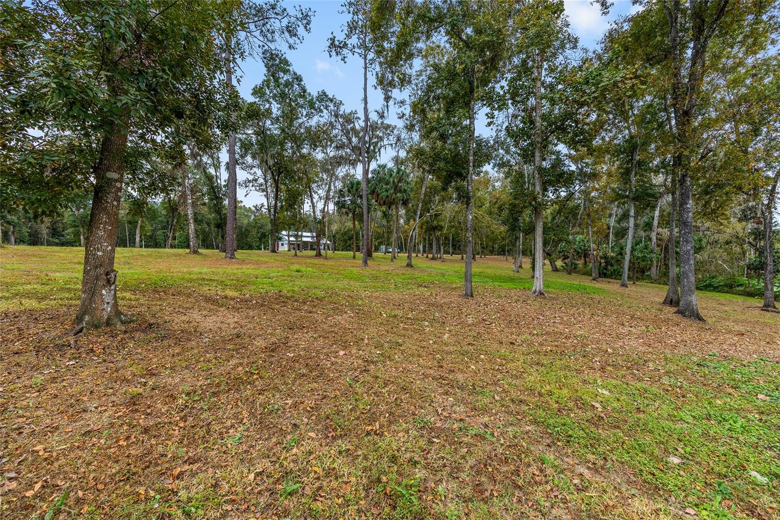 BECKET PLANTATION - Land