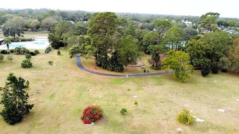 A home in PALM HARBOR