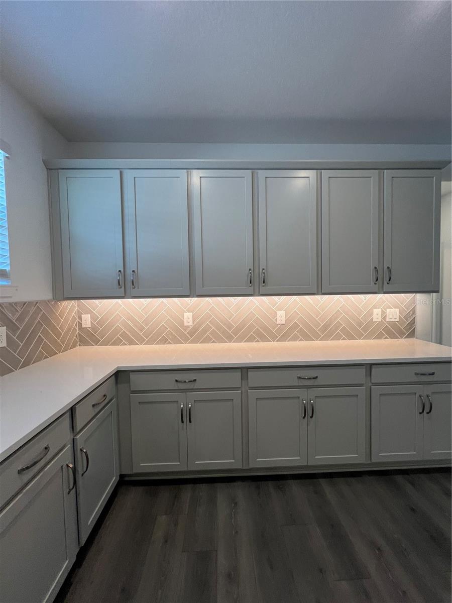 HILLS OF MINNEOLA - Residential