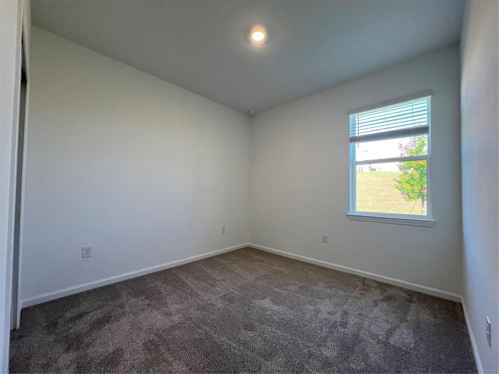 HILLS OF MINNEOLA - Residential