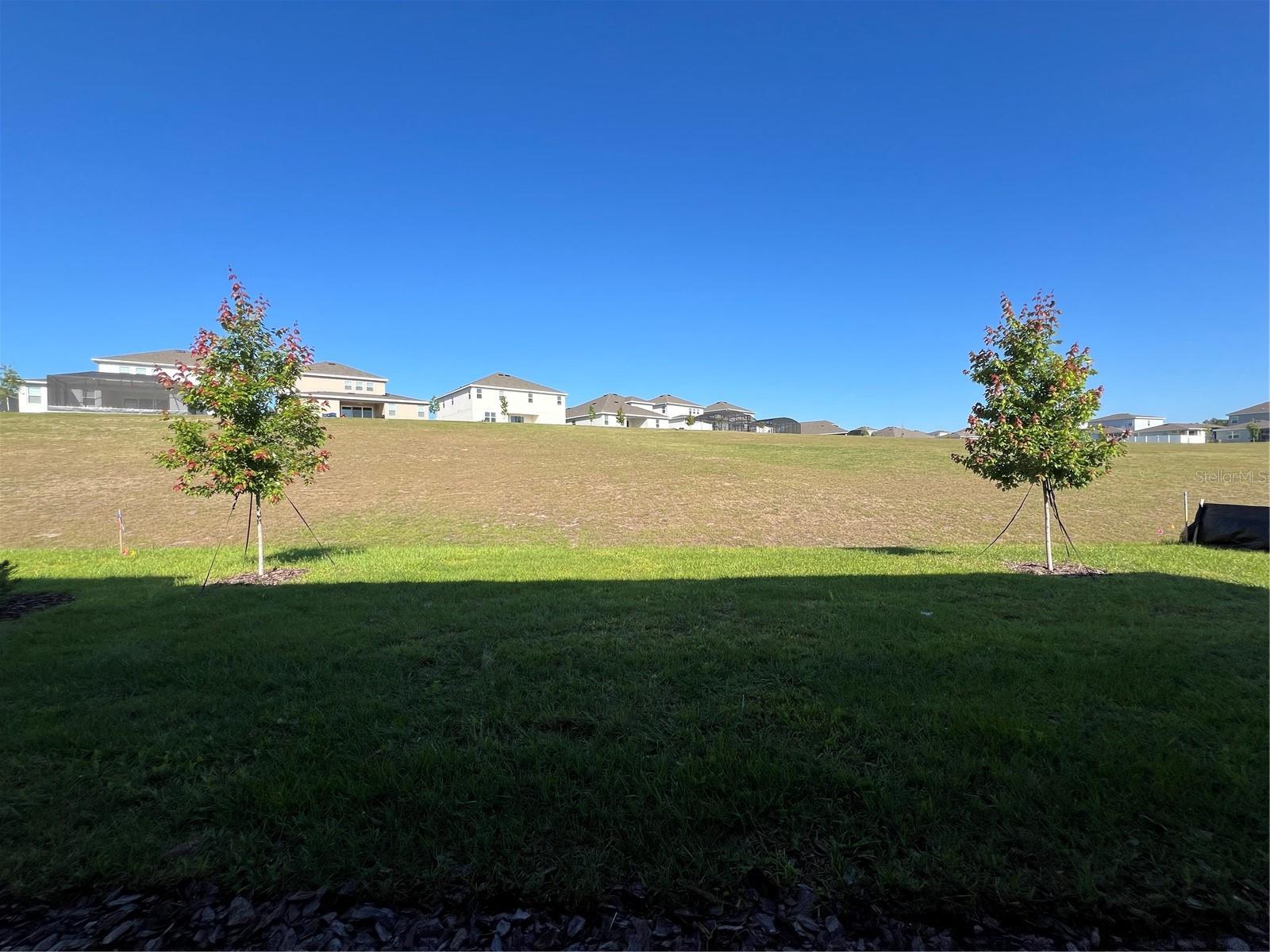 HILLS OF MINNEOLA - Residential