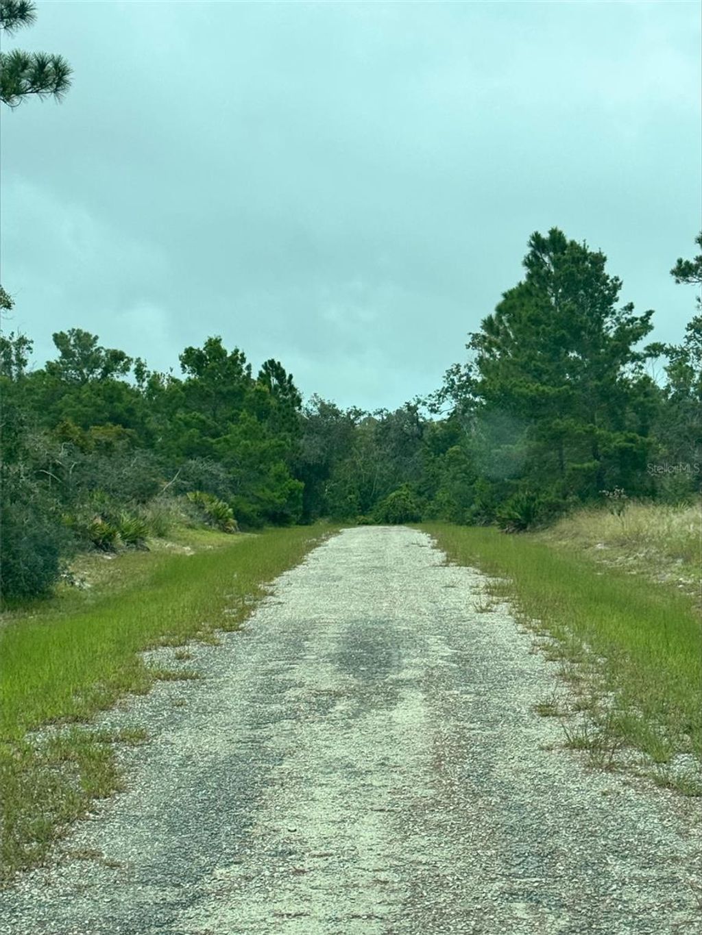 Photo of 1217 Cacao Road, Lake Placid, FL 33852 (MLS # S5134950)