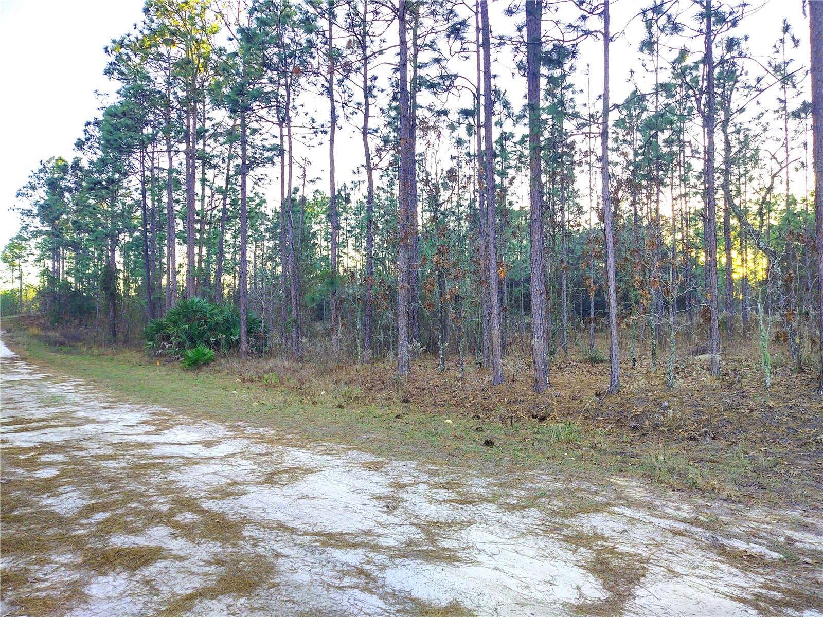 ROLLING HILLS UNIT 4 - Land