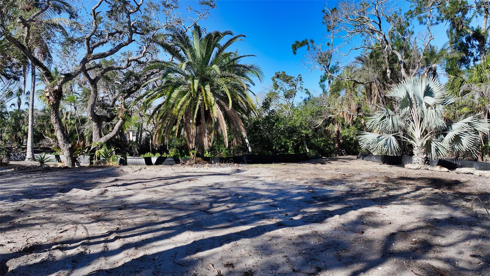 SIESTA PROPERTIES INC - Land