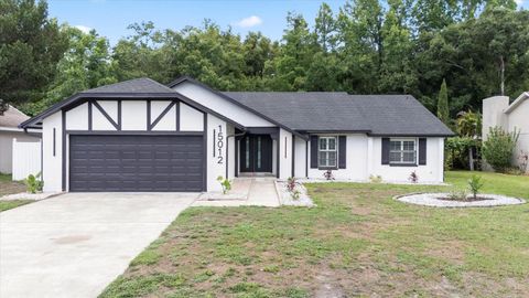 15012 WINTERWIND DRIVE TAMPA FL 33624