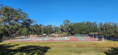 Tiny photo for 408 Sandalwood Lane, Wildwood, FL 34785 (MLS # G5110339)