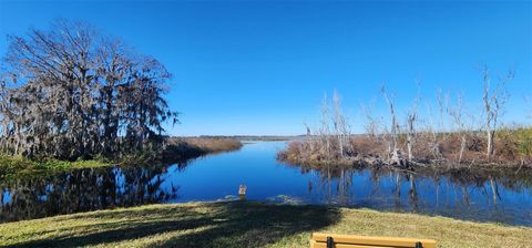 Tiny photo for 408 Sandalwood Lane, Wildwood, FL 34785 (MLS # G5110339)