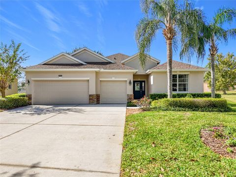 A home in MOUNT DORA