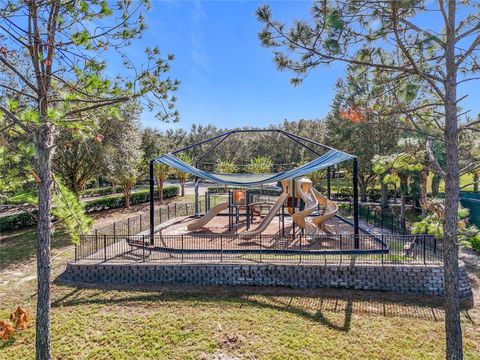 A home in MOUNT DORA