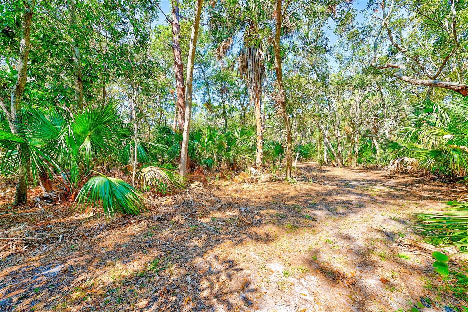 13450 WILCOX ROAD - Residential