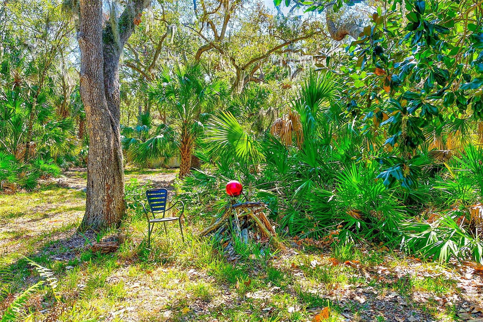 13450 WILCOX ROAD - Residential
