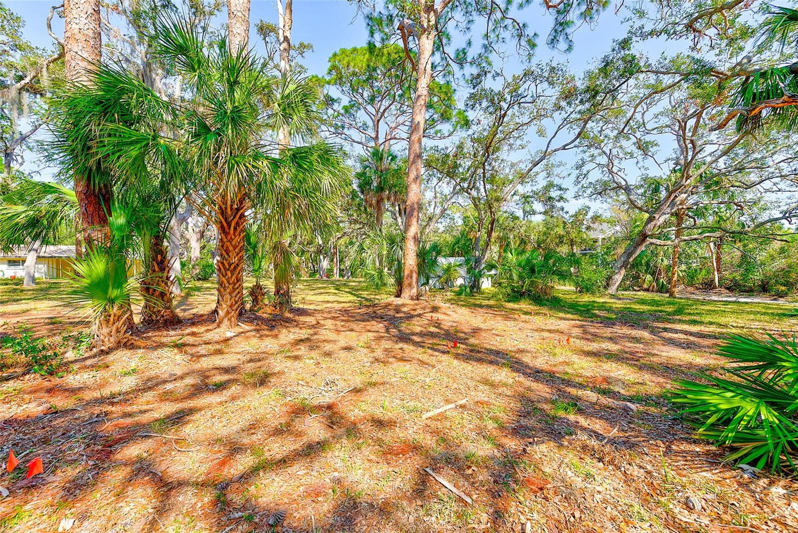 13450 WILCOX ROAD - Residential