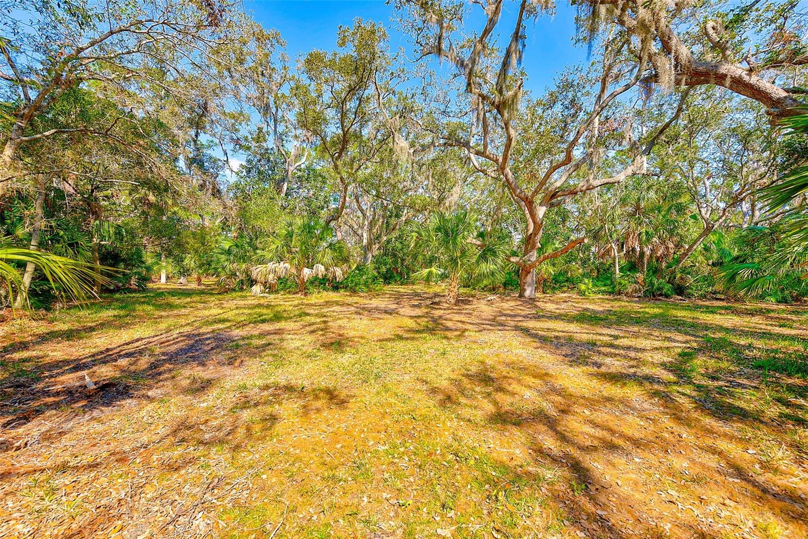 13450 WILCOX ROAD - Residential