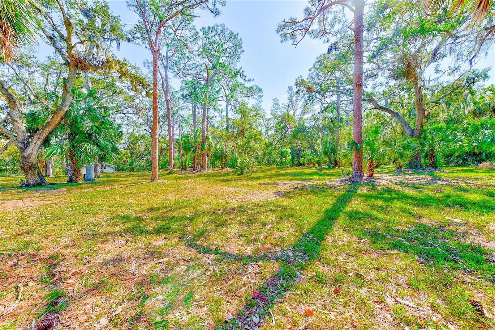 13450 WILCOX ROAD - Residential