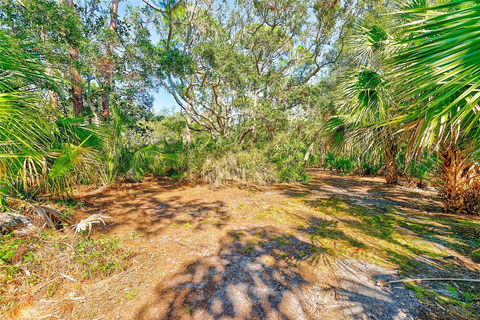 13450 WILCOX ROAD - Residential