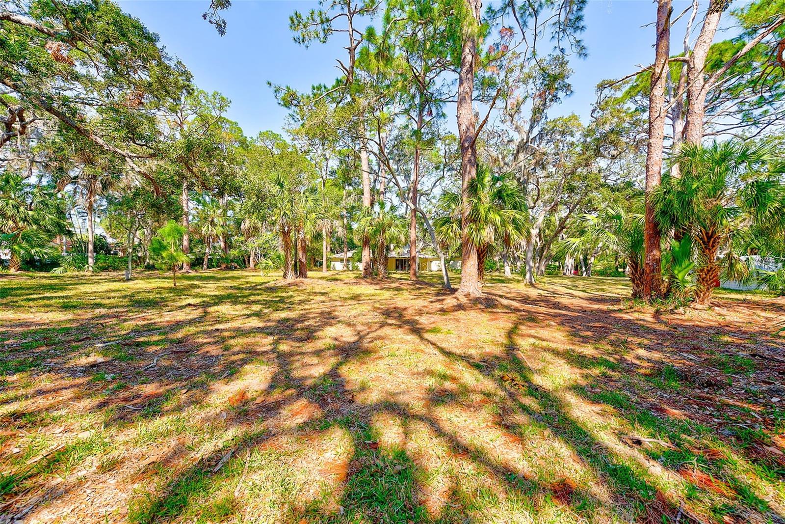 13450 WILCOX ROAD - Residential