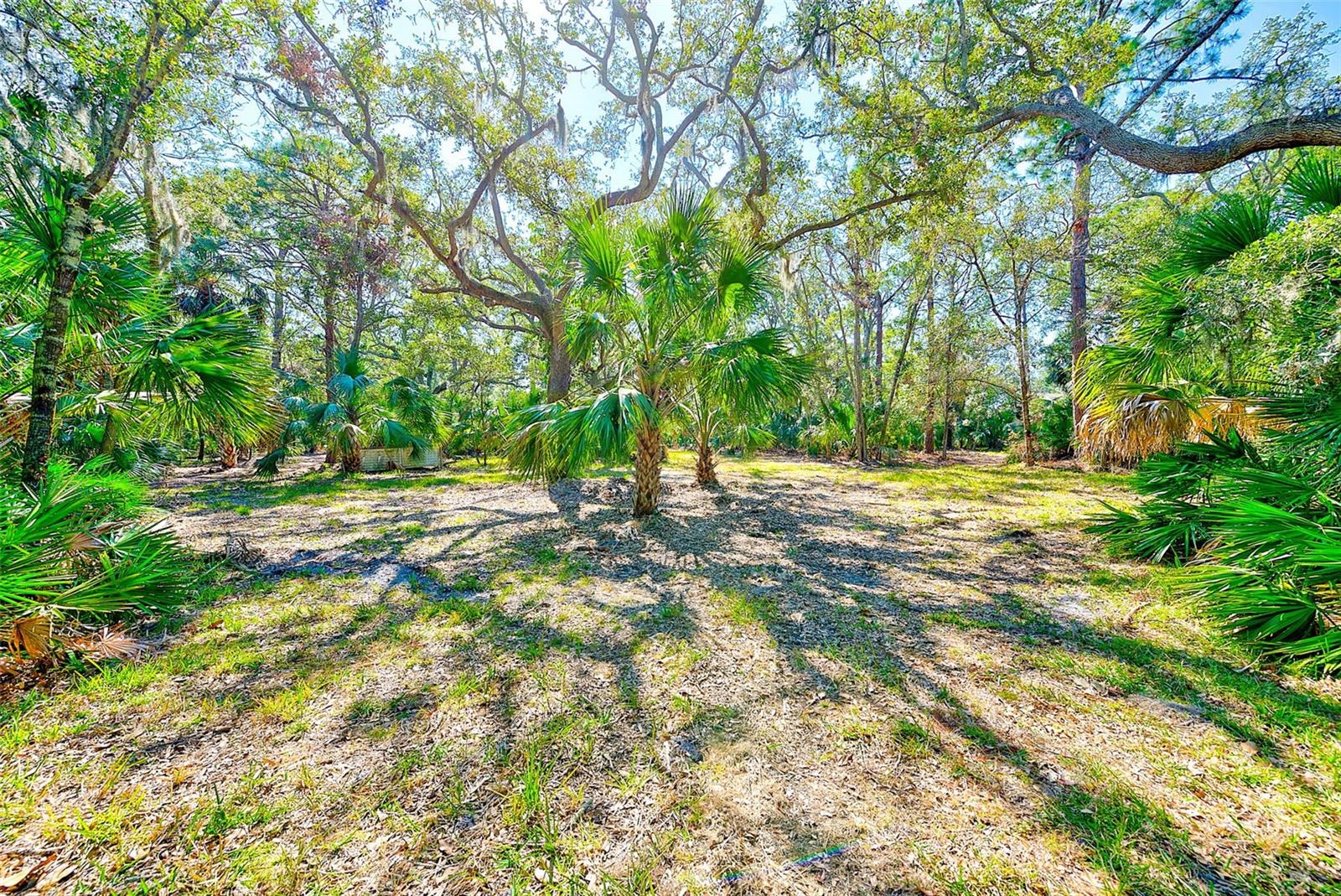 13450 WILCOX ROAD - Residential