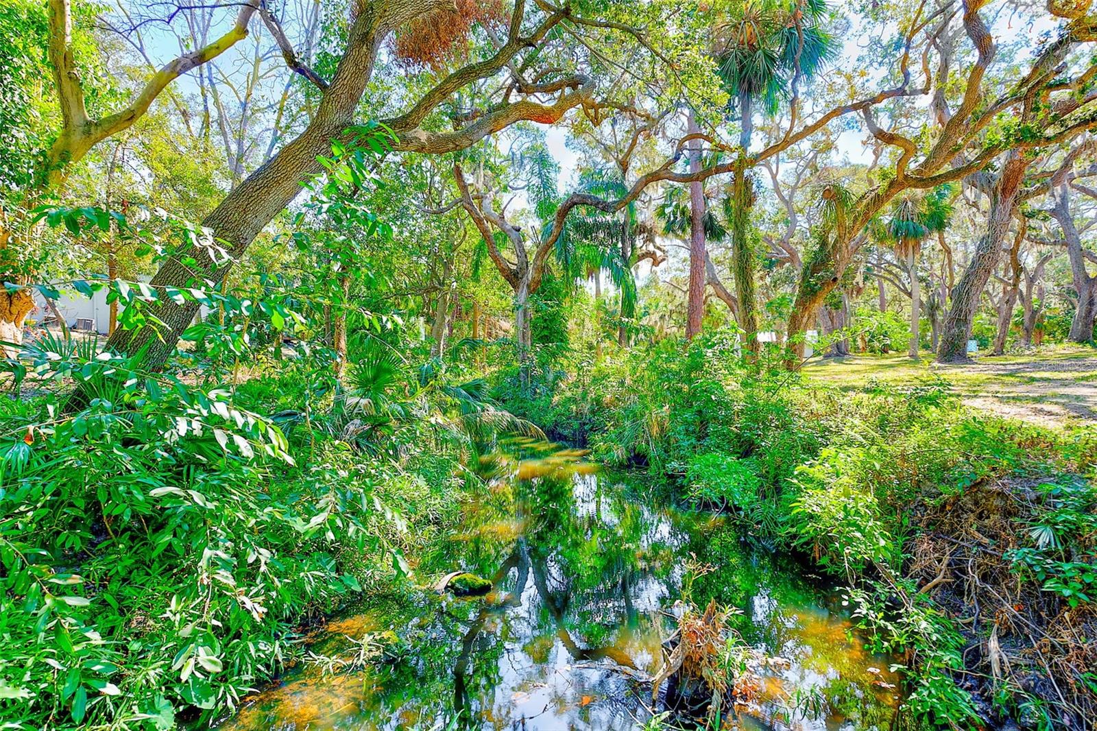 13450 WILCOX ROAD - Residential