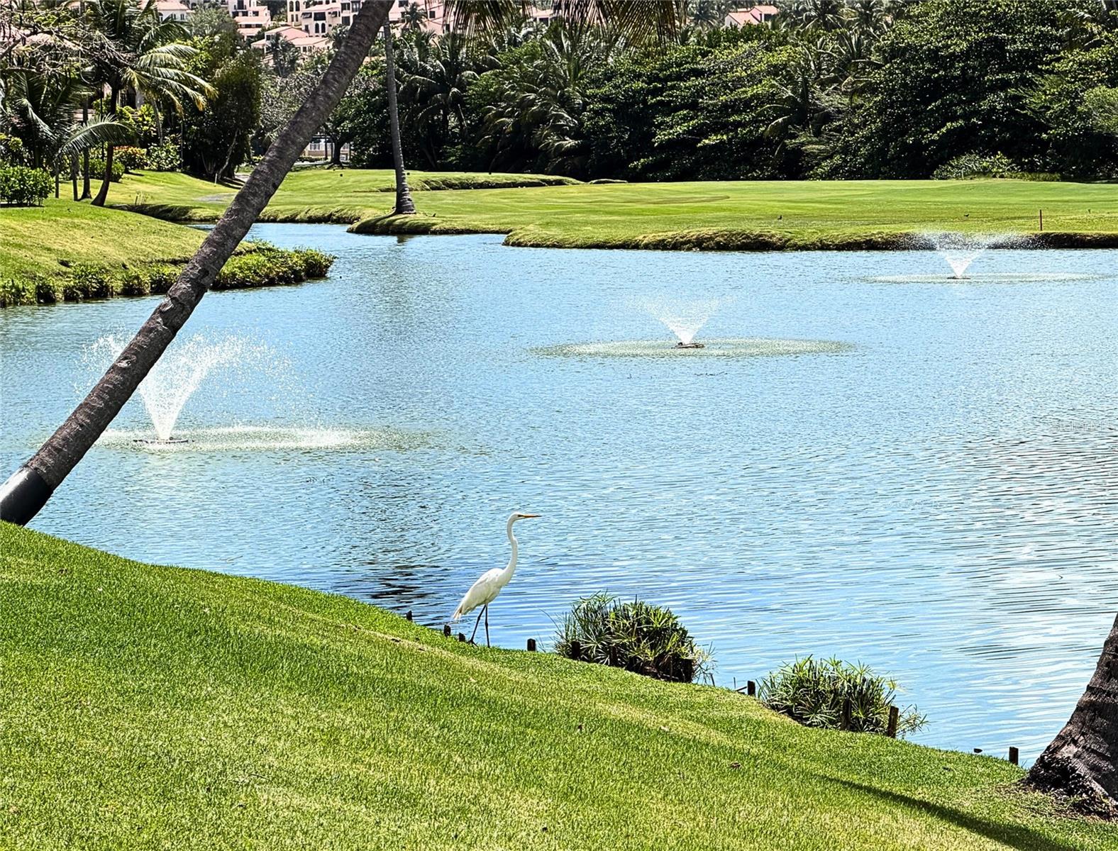 FAIRLIKES VILLAGE - Residential