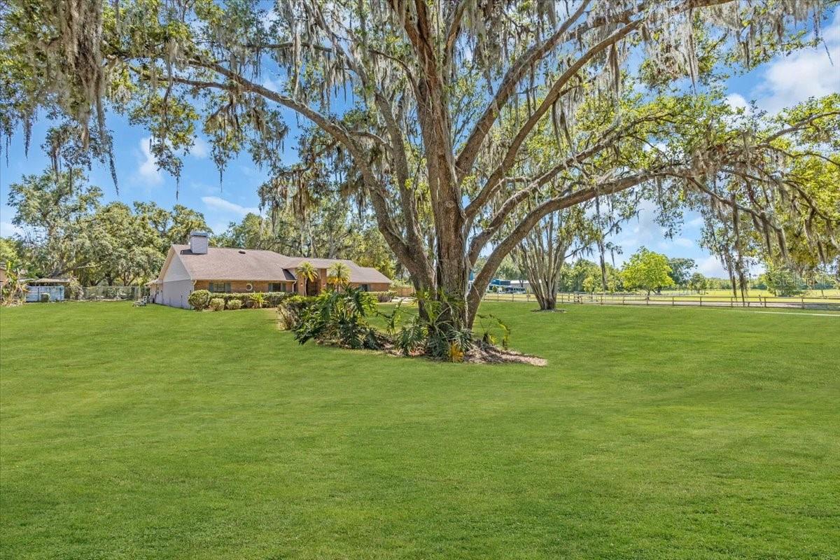 3021 LEILA ESTELLE DRIVE