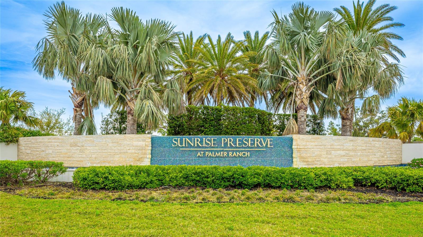 SUNRISE PRESERVE - Residential