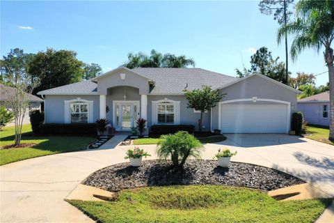 Photo of 59 Eric Drive, Palm Coast, FL 32164 (MLS # FC314134)